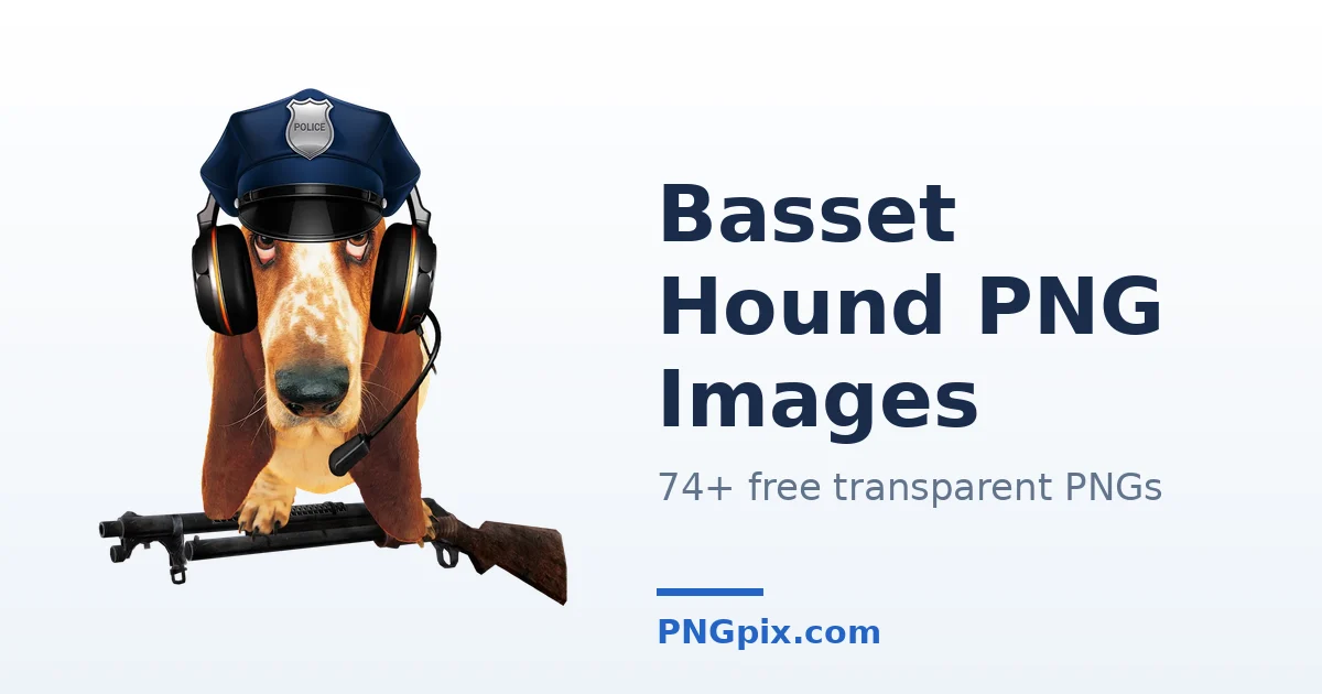 Basset Hound PNG images