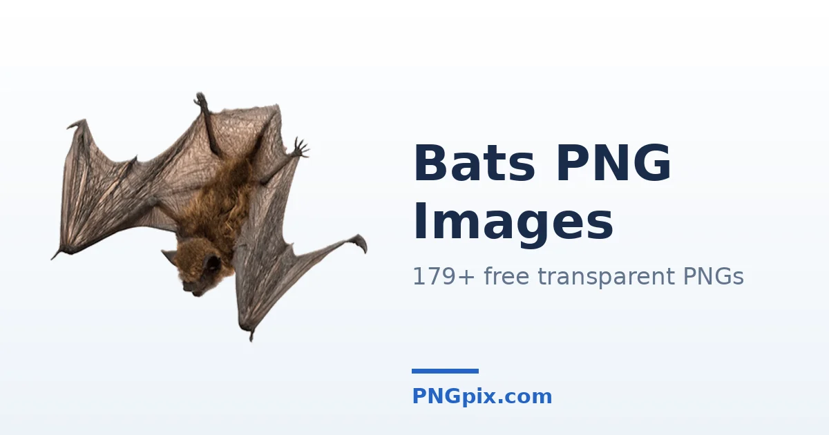 Bats PNG images
