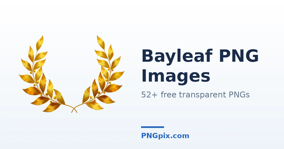 Bayleaf PNG images