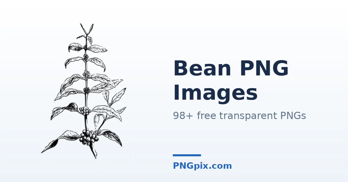Bean PNG images