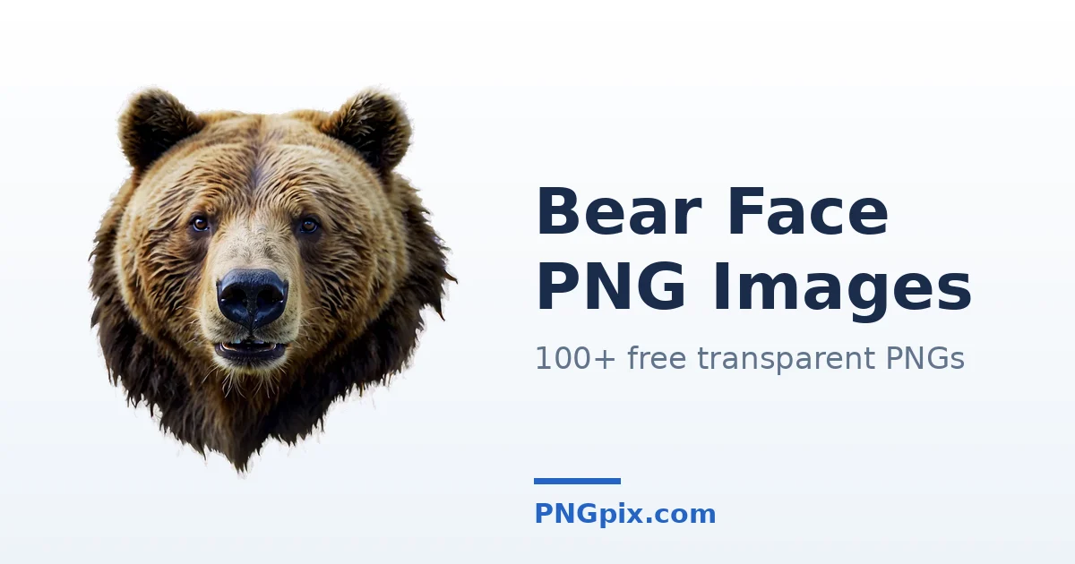 Bear Face PNG images