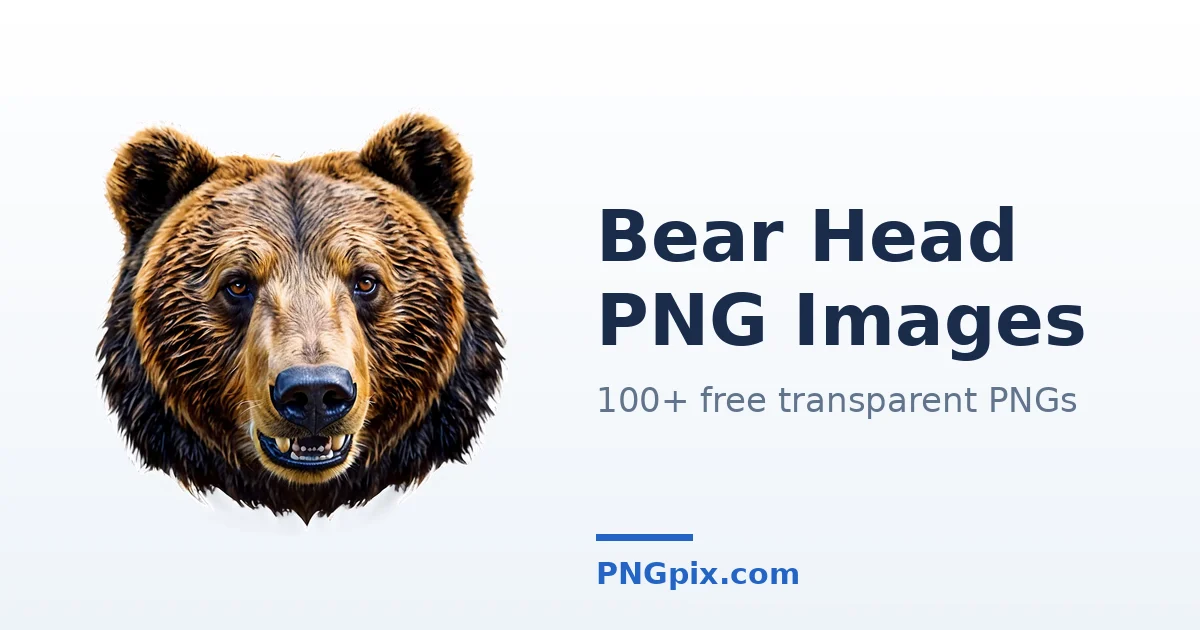 Bear Head PNG images