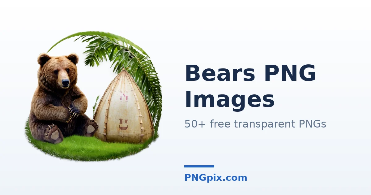 Bears PNG images