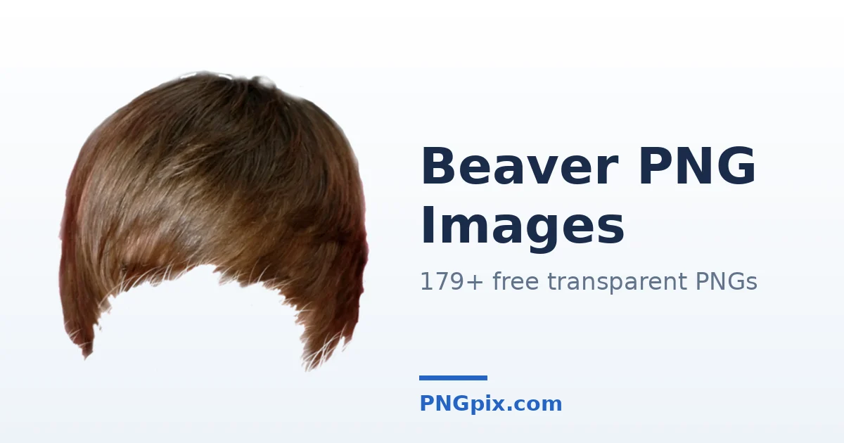 Beaver PNG images