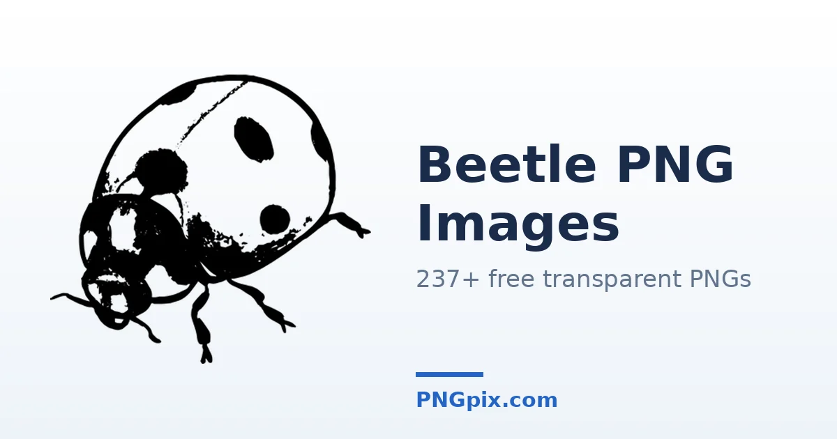 Beetle PNG images