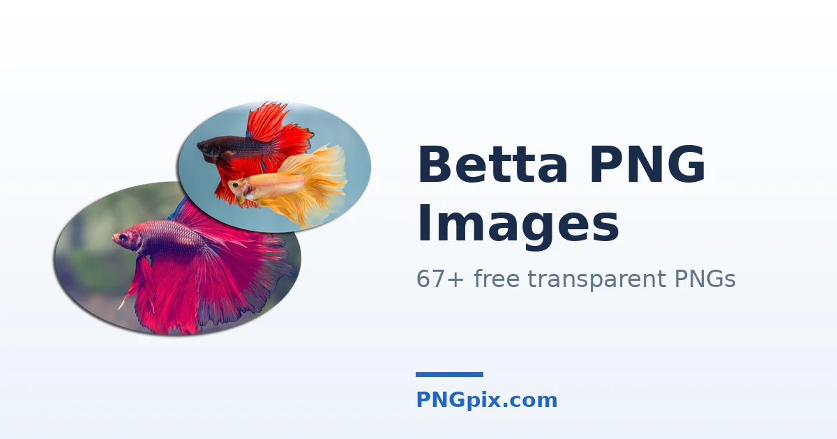 Betta PNG images