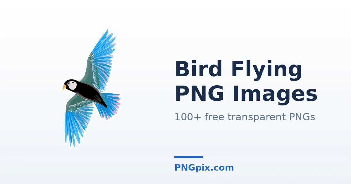 Bird Flying PNG images