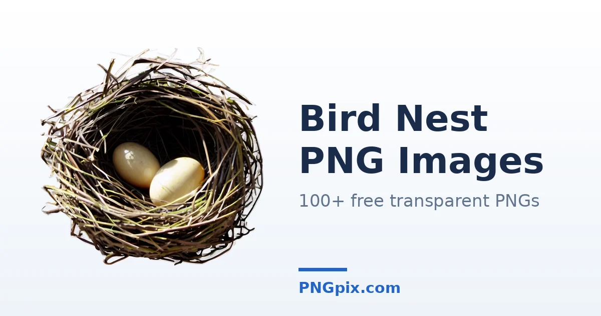 Bird Nest PNG images