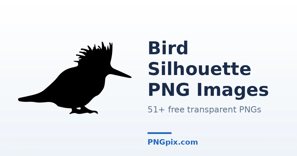 Bird Silhouette PNG images
