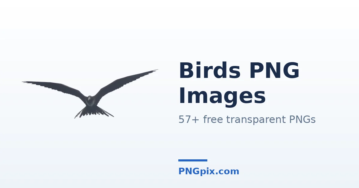 Birds PNG images