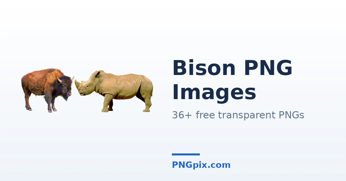 Bison PNG images