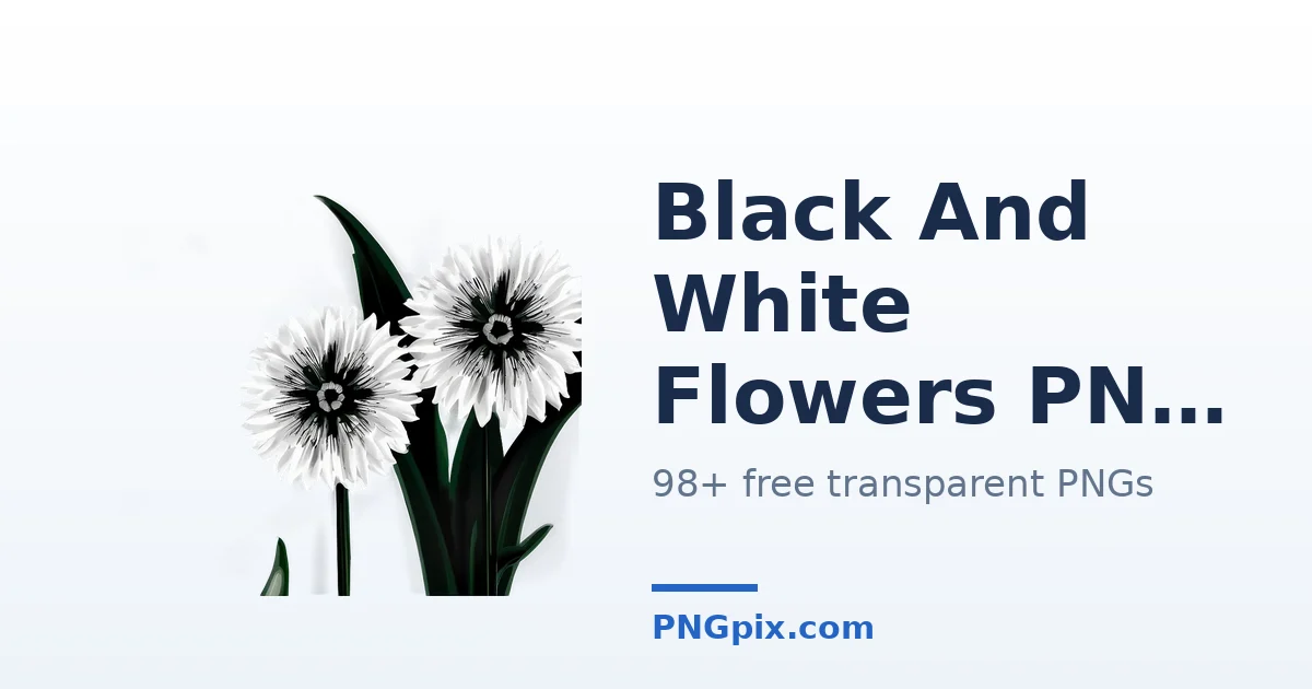 Black And White Flowers PNG images