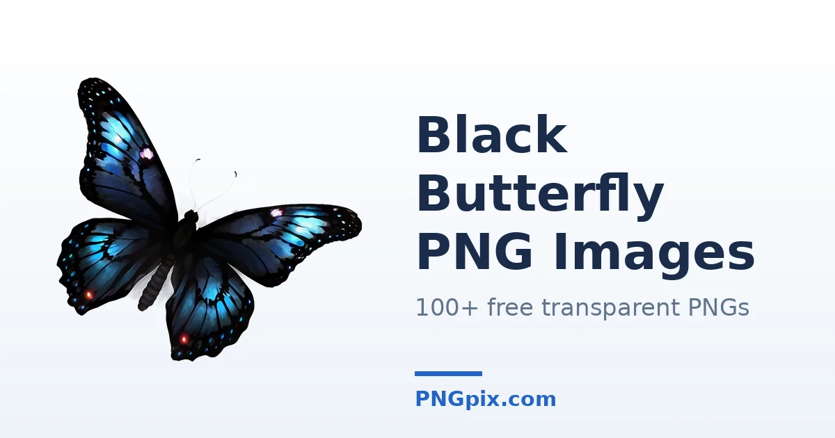 Black Butterfly PNG images