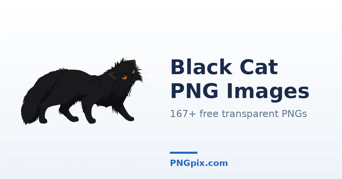 Black Cat PNG images
