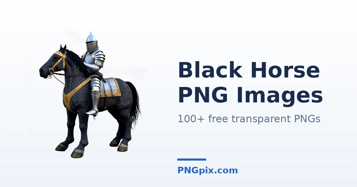 Black Horse PNG images