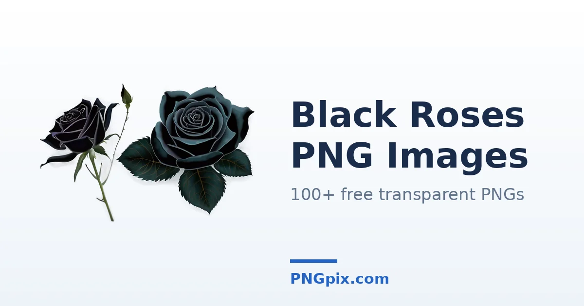 Black Roses PNG images