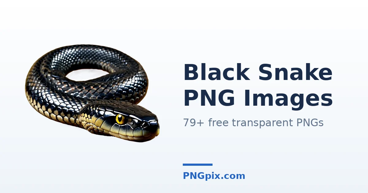 Black Snake PNG images
