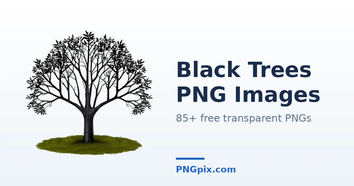 Black Trees PNG images