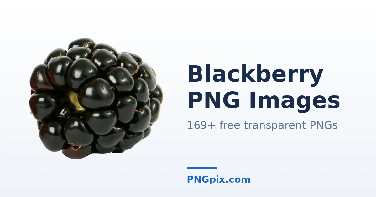 Blackberry PNG images