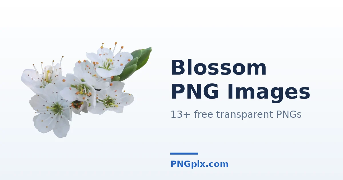 Blossom PNG images