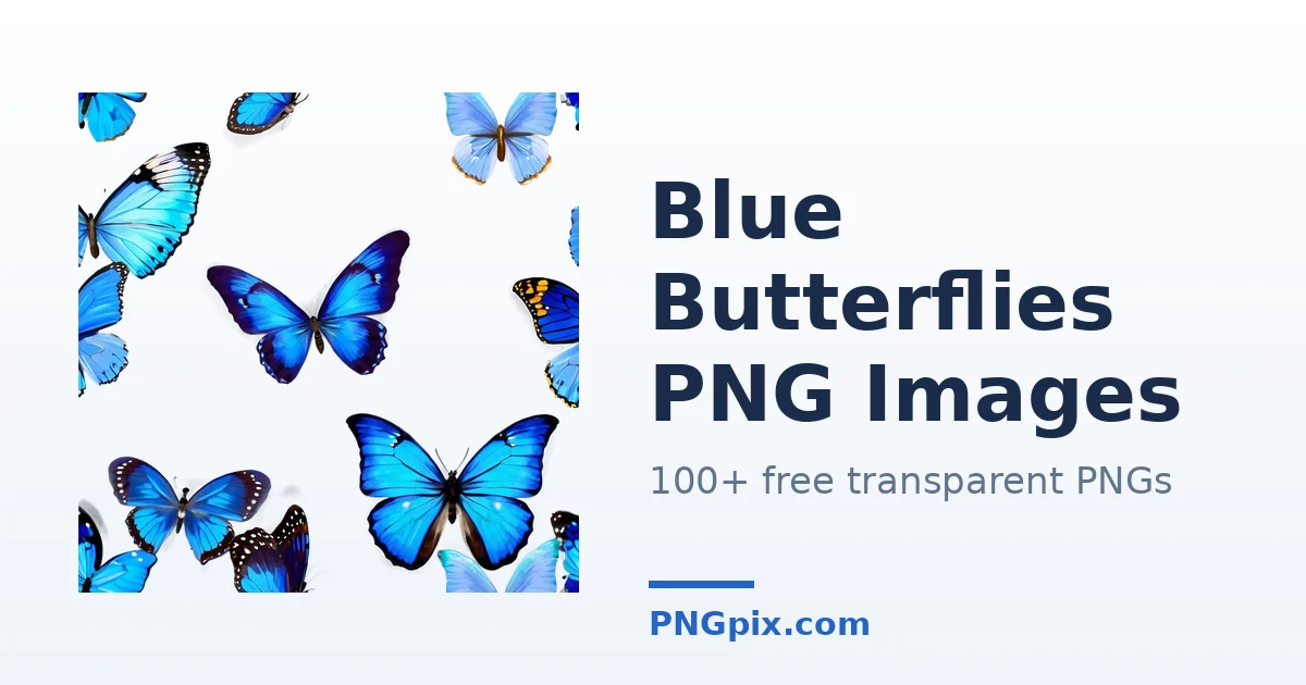 Blue Butterflies PNG images