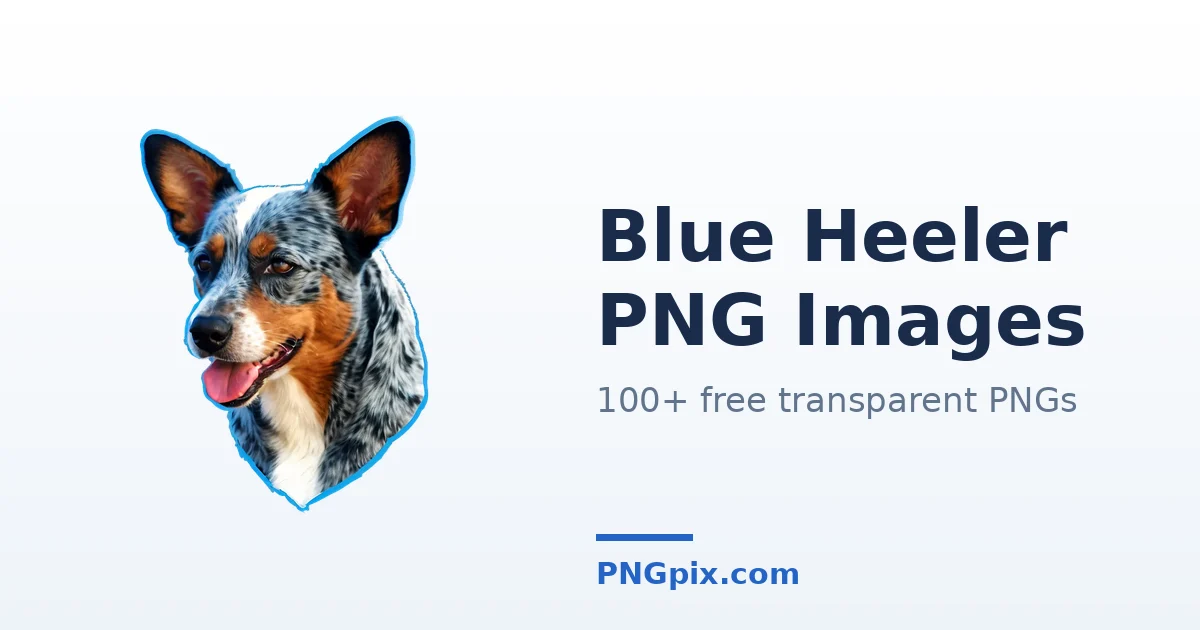 Blue Heeler PNG images