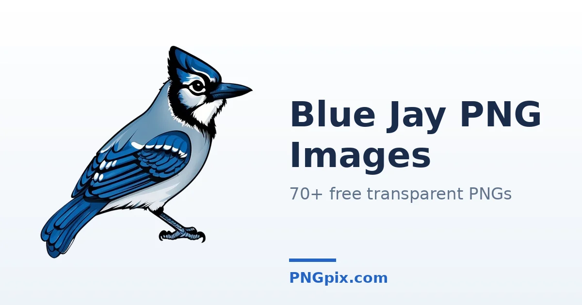 Blue Jay PNG images