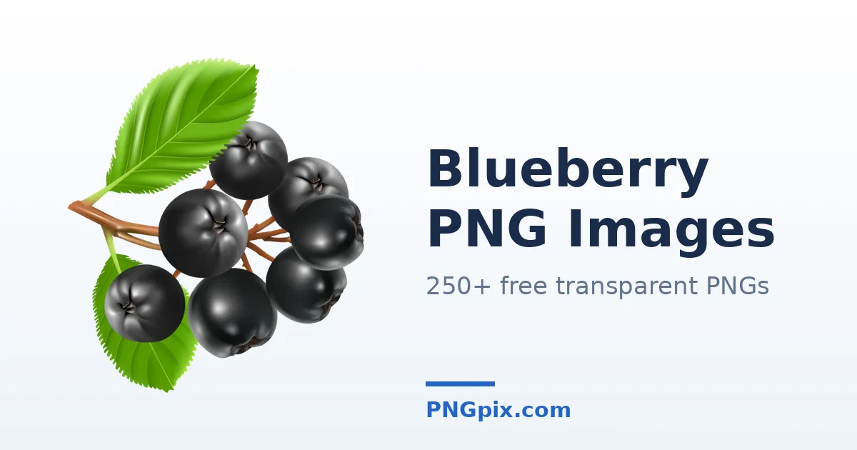 Blueberry PNG images