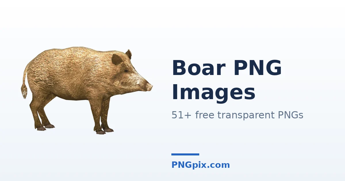 Boar PNG images