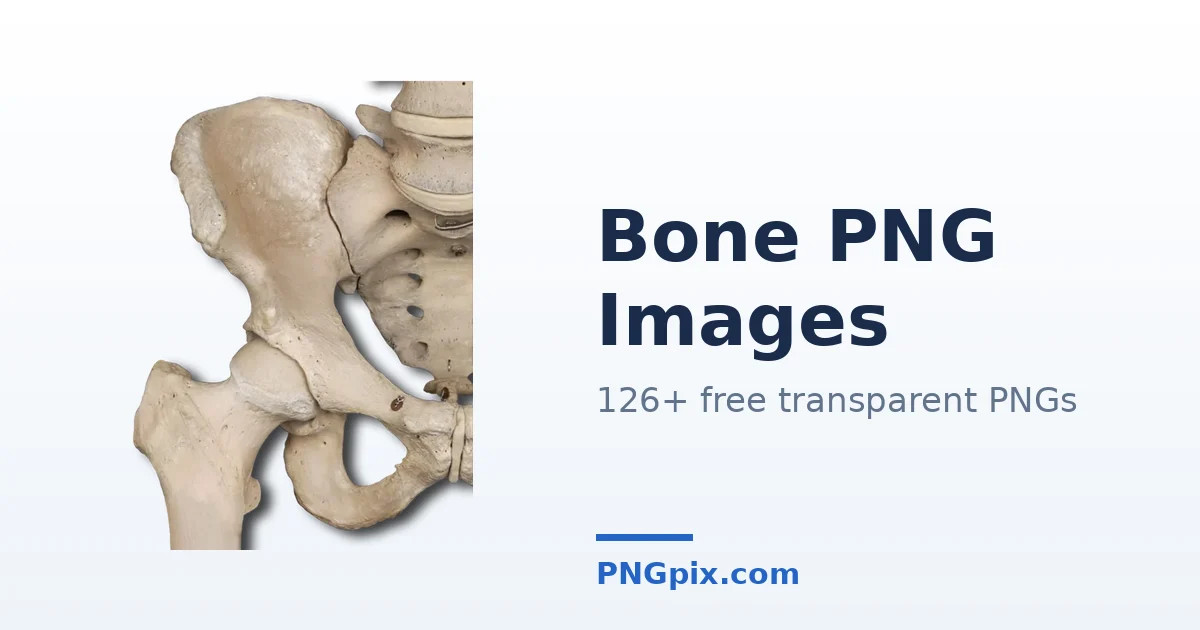 Bone PNG images