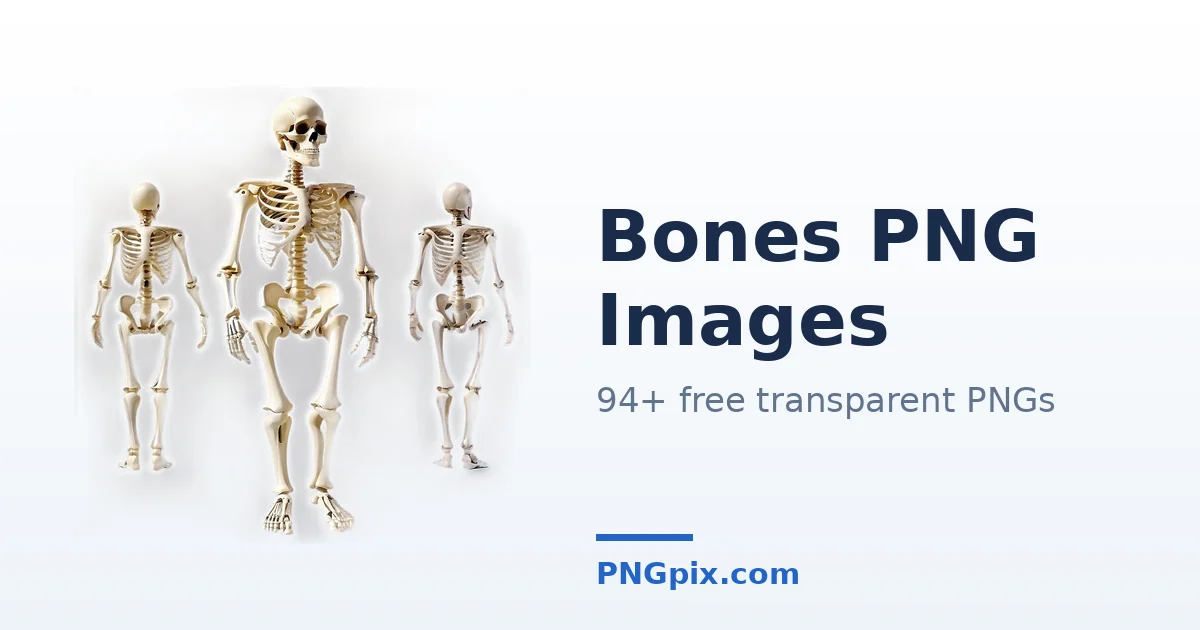 Bones PNG images
