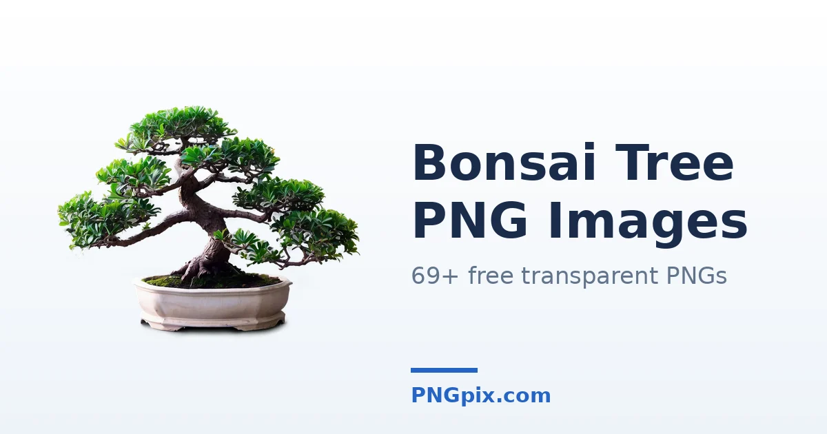 Bonsai Tree PNG images
