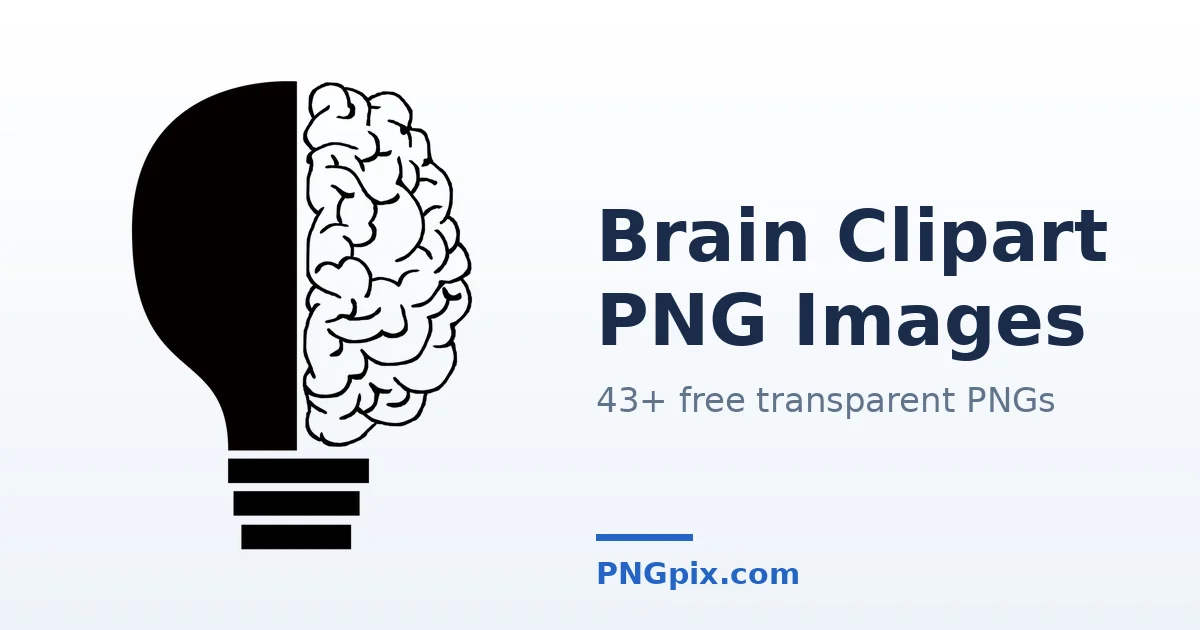 Brain Clipart PNG images