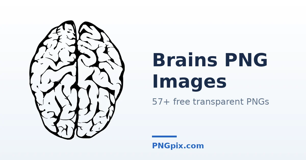 Brains PNG images