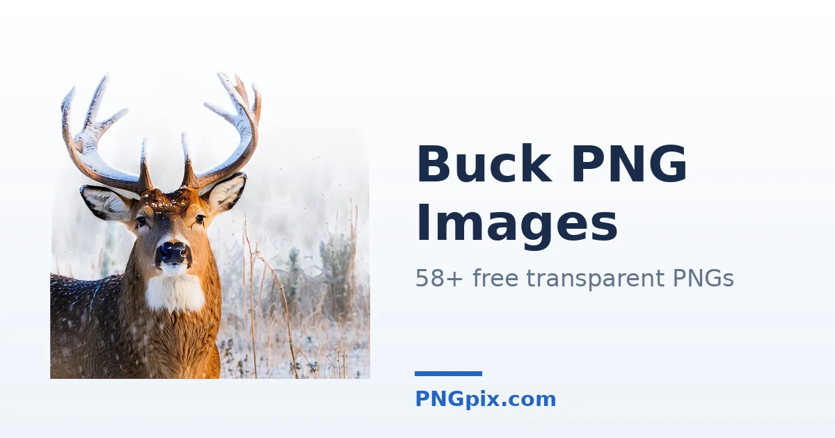 Buck PNG images