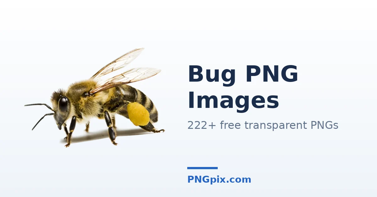 Bug PNG images
