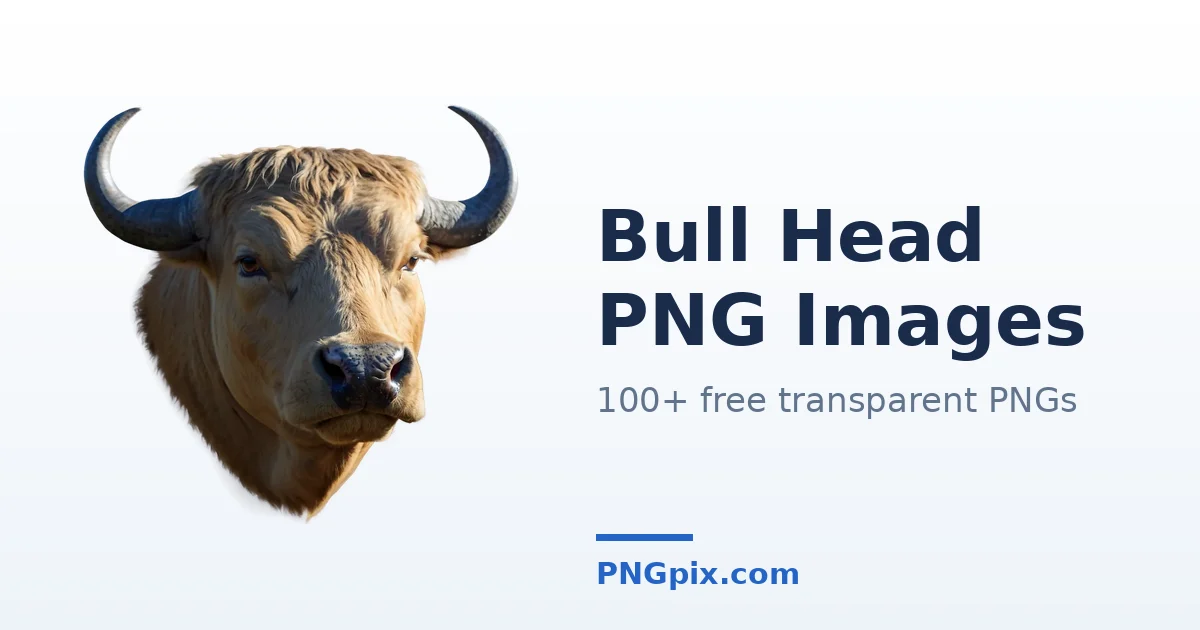 Bull Head PNG images