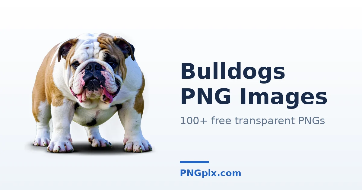 Bulldogs PNG images