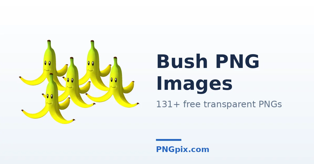 Bush PNG images