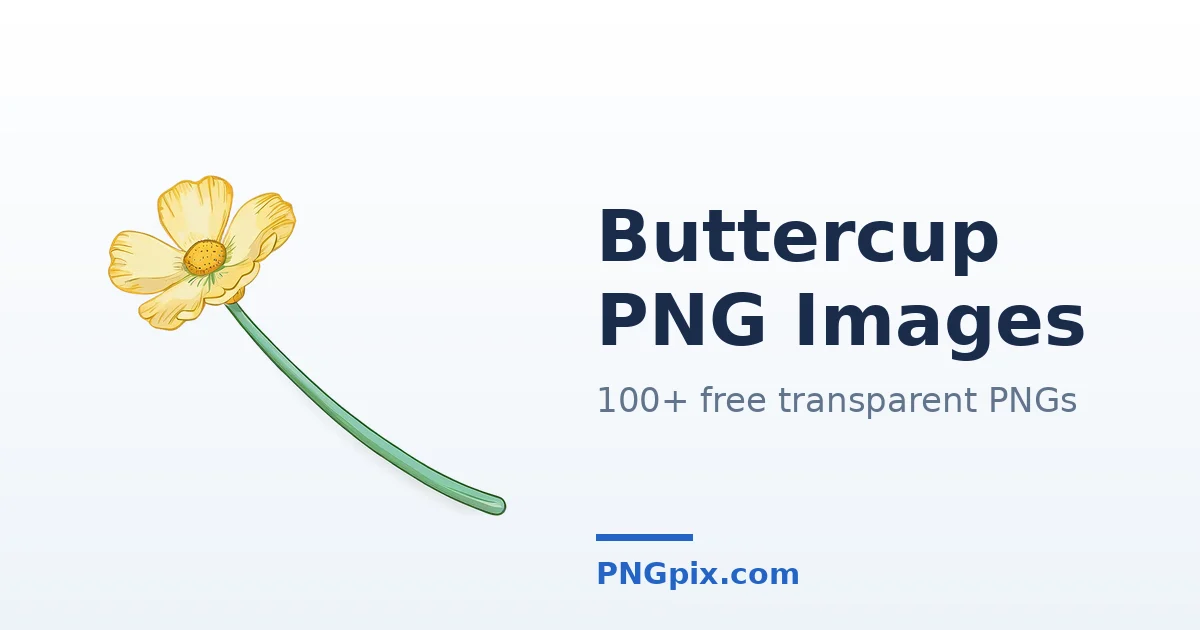 Buttercup PNG images