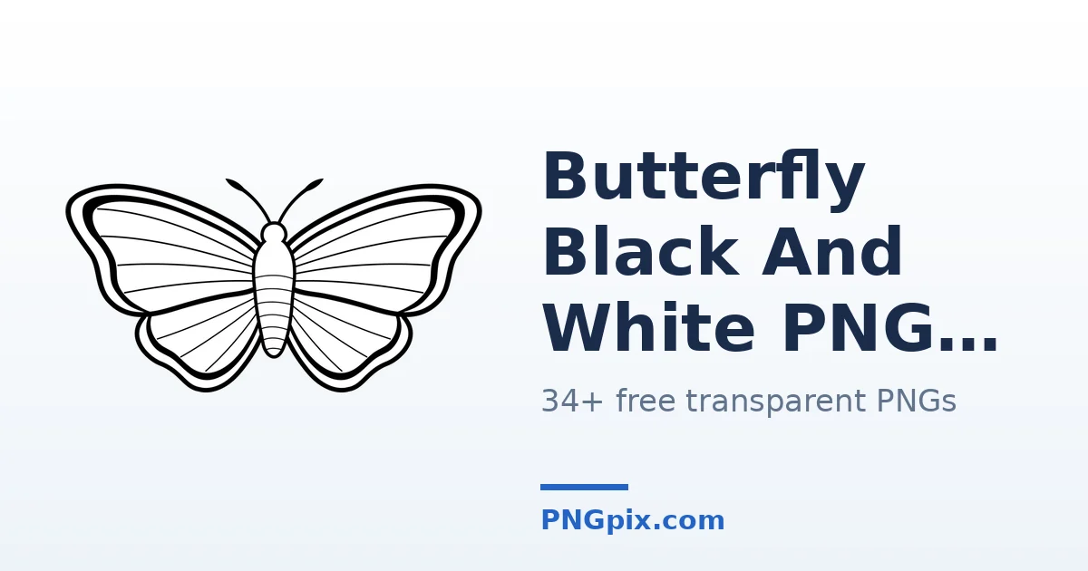 Butterfly Black And White PNG images