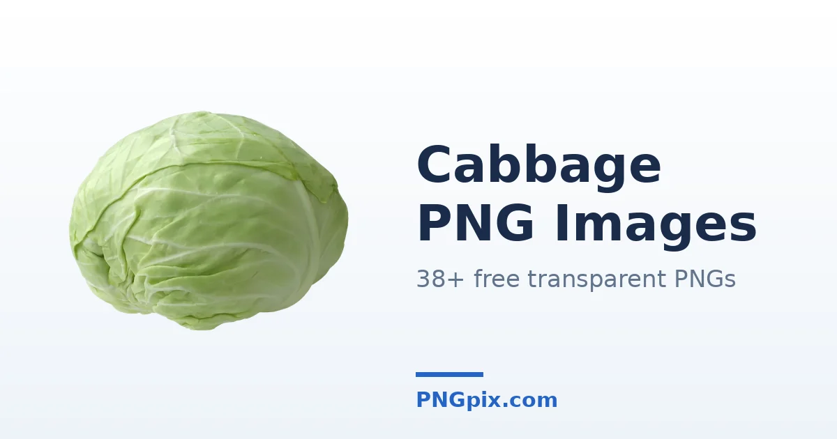 Cabbage PNG images