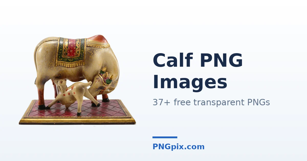Calf PNG images
