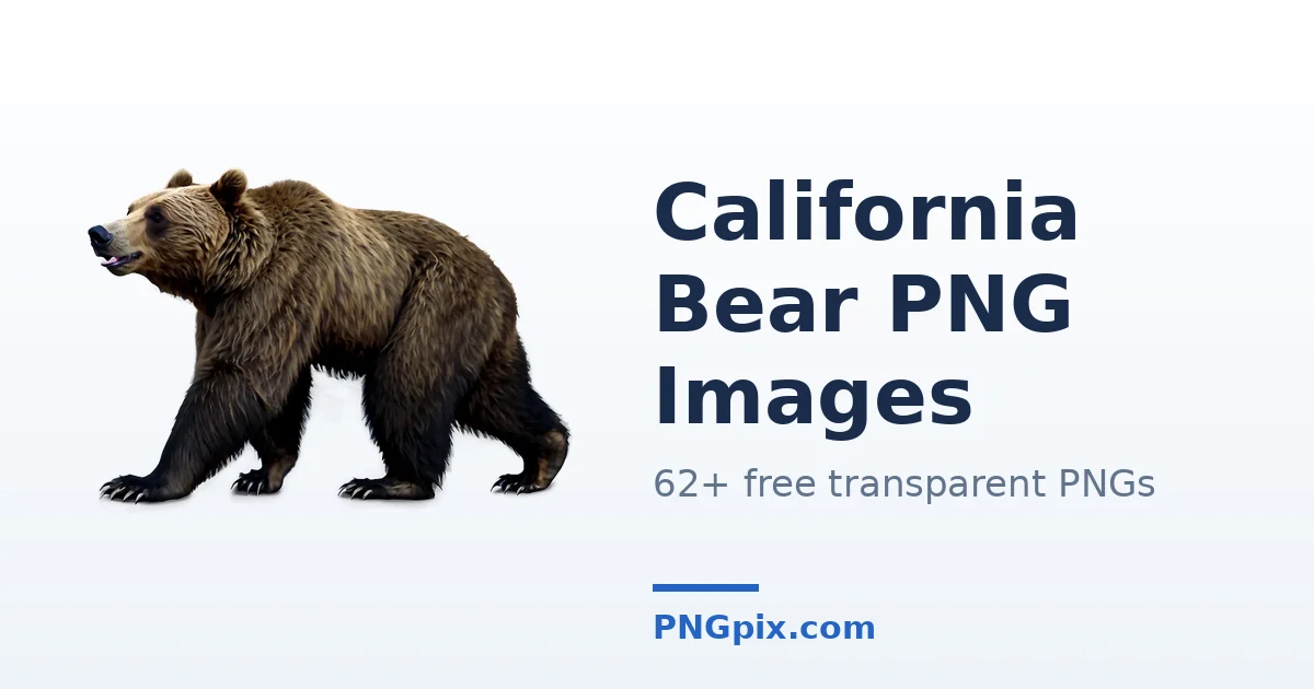 California Bear PNG images