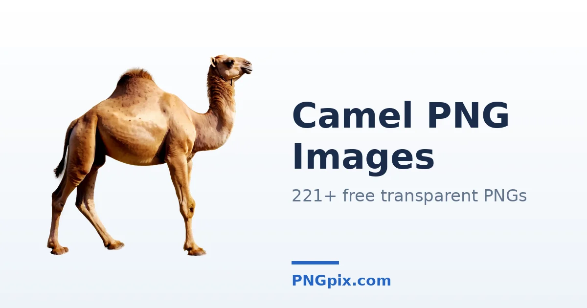 Camel PNG images