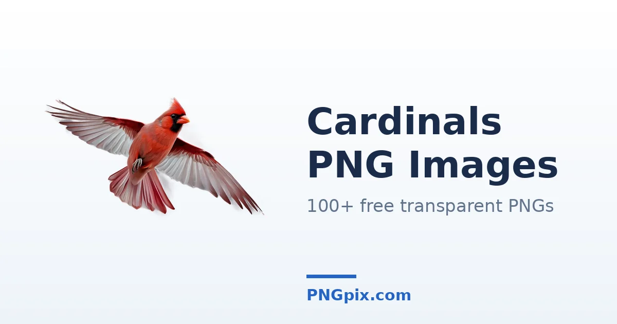 Cardinals PNG images