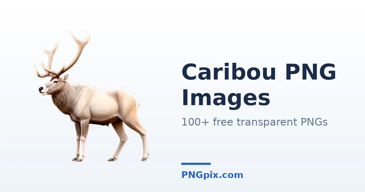Caribou PNG images