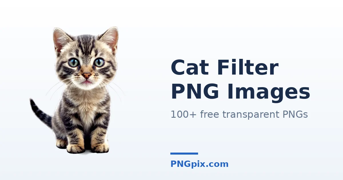 Cat Filter PNG images
