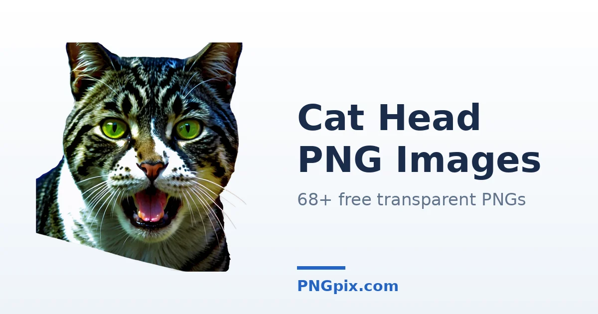 Cat Head PNG images