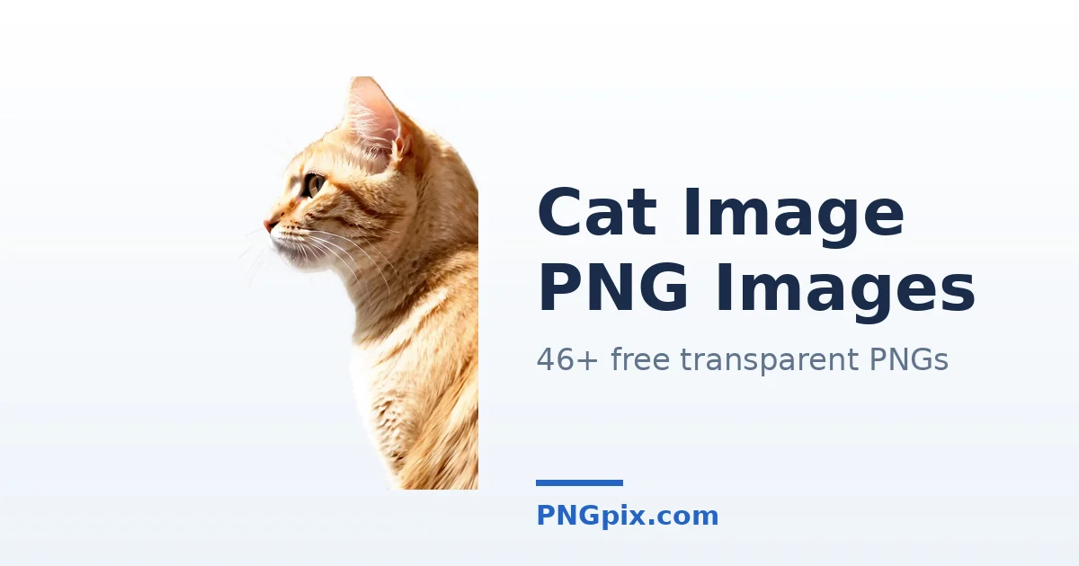 Cat Image PNG images